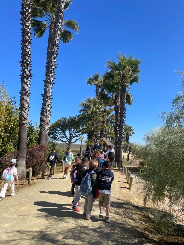 Espacio concilia aocd3